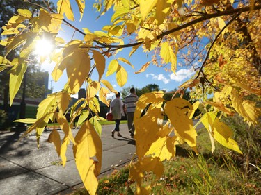 It was a perfect fall day and many Calgarians took advantage of the sun and fall colours on Sunday September 20, 2015.