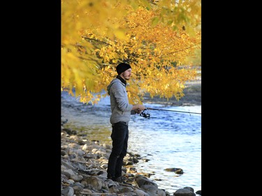 Clint Atayiu took advantage of the sun and fall colours to fish along the Bow River on Sunday September 20, 2015.