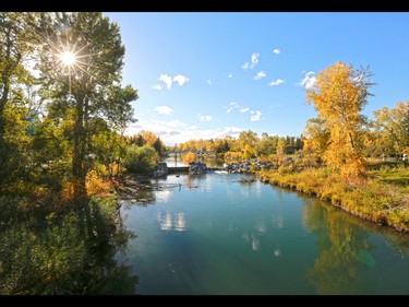 It was a perfect fall day and many Calgarians took advantage of the sun and fall colours on Sunday September 20, 2015.