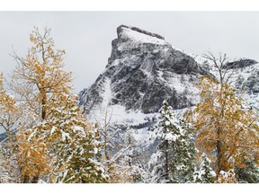 Fresh snow on Table Mountain in the Castle wilderness area in Southern Alberta.