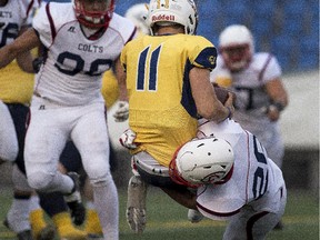 Calgary Colts linebacker Colton Burr sacks Edmonton Wildcats quarterback Jordan Olson during a Prairie Football Conference game last month in Edmonton.