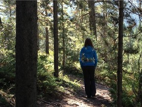 Forest bathing near Canmore.