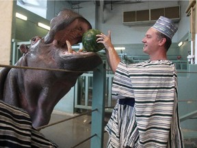 Dr. Axel Moehrenschlager, director of conservation and science at the Calgary Zoo, feeds Sparky the hippo a watermelon during a celebration on September 3, 2105. It marked the opening of an organic shea butter processing plant run in conjunction with the Wechiau Community Hippo Sanctuary in Ghana, Africa.