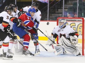 Edmonton Oil King Brayden Brown, centre, gets surrounded on an attempt to score on Hitmen goalie Lasse Petersen at the Scotiabank Saddledome on Sunday. The Hitmen blanked their rivals 2-0 in the WHL preseason contest.