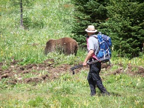A hiker gets within a couple of arm lengths away from a grizzly bear near Chester Lake for a photo.