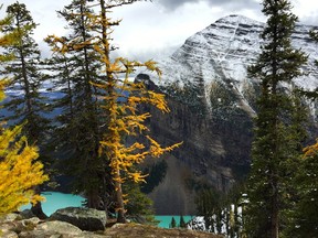 A view of Lake Louise from Big Beehive.