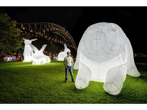 Intrude, by Amanda Parer, was part of Beakerhead 2015.