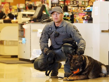 Calgary Police Service Canine Unit member Cst. Derek Klassen and Baro listen on to the proceedings from beside the check out tills on September 2, 2015 during the official launch of the Calgary Police Service Canine unit calendar. The launch was made in the Saddletown Safeway which is one of 35 area stores which will carry the calendar.