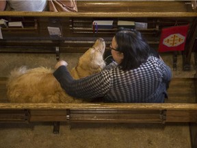 A dog cuddles with its owner on a pew during The Blessing of the Animals Mass at the Cathedral Church of the Redeemer in Calgary, on October 10, 2015.