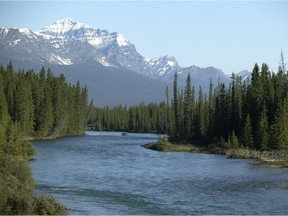 Bow River flowing along Banff National Park near Castle Junction, south of Lake Louise.