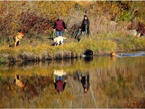 Dog owners and their pets walk along the riverbank in Bowmont Park. Reader says to preserve the riverbank, off-leash parks should be moved elsewhere.
