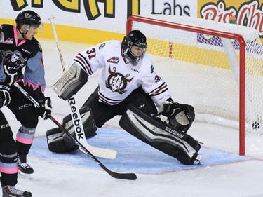 Red Deer Rebels goaltender Rylan Toth watches as the Calgary Hitmen score during second period WHL action at the Scotiabank Saddledome on Friday Oct. 9, 2015.