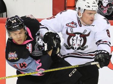 Calgary Hitmen Carsen Twarynski checks the Red Deer Rebels' Kayle Doetzel during second period WHL action at the Scotiabank Saddledome on Friday Oct. 9, 2015.
(Gavin Young/Calgary Herald)