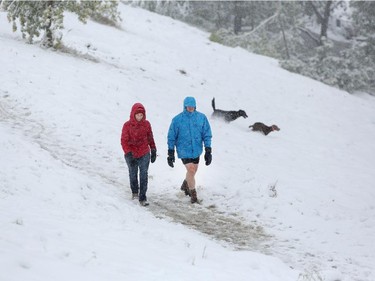 Sibylle De Quatrebarbes  and her brother Stanislas De Valence enjoy a walk in Calgary during the summer snowstorm Wednesday morning on September 10, 2014.