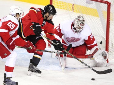 Calgary Flames centre Joe Colborne reached for the puck while Detroit Red Wings defenceman Danny DeKeyser chased him past goalie Jimmy Howard during second period NHL action at the Scotiabank Saddledome on October 23, 2015. The Flames were looking to break their home game losing streak.