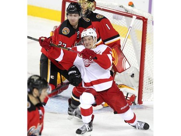 Calgary Flames defenceman Dougie Hamilton tied up Detroit Red Wings left winger Teemu Pulkkinen outside the crease of Flames goalie Joans Hiller during third period NHL action at the Scotiabank Saddledome on October 23, 2015.The Flames broke their home losing streak with the 3-2 overtime win over Detroit.