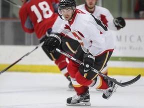 New Calgary Flames forward Micheal Frolik won a Stanley Cup with the Chicago Blackhawks in 2013.