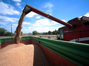 A farmer harvests a wheat field with a combine harvester.