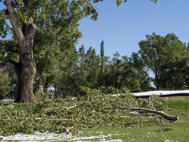 Fallen trees and branches litter the course at the Earl Grey Golf Club in Calgary on Thursday, Sept. 11, 2014.