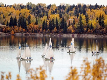 A bunch of small sailboats sailed around the Glenmore Reservoir amidst the fall colours on September 29, 2015. Temperatures are expected to climb into the 20s over the next few days.