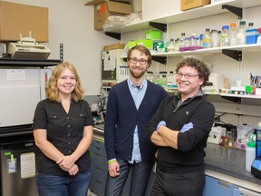 Members of the FREDsense team in their lab in northwest Calgary.