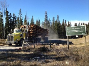 Spray Lakes Sawmill is logging in the Ghost-Waiparous area, raising some concerns among locals. Reader says Albertans must band together and save this wilderness area.