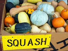 Squash-3