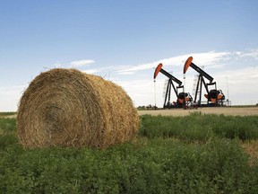 This picture taken in 2009 shows some of the wells in the Weyburn oilfield operated by Cenovus.