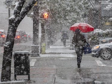 The first day of snow brought with it cool temperatures, big fluffy flakes, and fashionable umbrellas in Calgary.