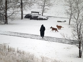 A sudden dump of snow left Calgary and the surrounding area covered in a blanket of white on Nov. 2, 2015.