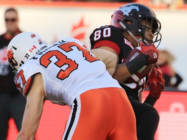 Calgary Stampeders receiver Eric Rogers catches a touchdown pass as he is tackled by the B.C. Lions Eric Fraser during the first half of the CFL's West Division semifinal at McMahon Stadium on Sunday November 15, 2015