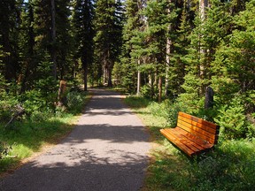 A dedication bench on Lodgepole trail near William Watson Lodge in Peter Lougheed Provincial Park.