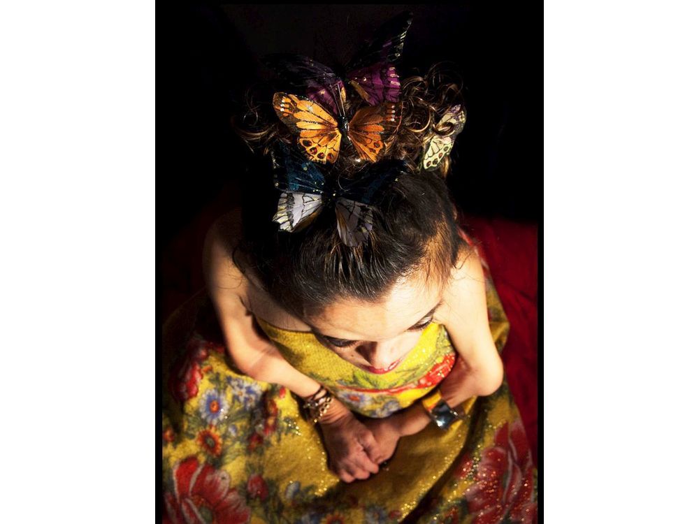 Elaine Lee, Butterflies, Spark Disability Art Festival