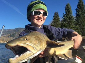 Ben catches a huge bull trout on our 2015 October trip