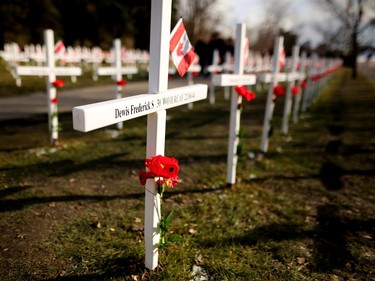 Field of Crosses during Remembrance Day.