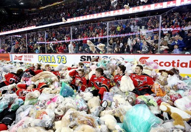 CALGARY.; DECEMBER 06, 2015  -- Calgary Hitmen play in a pile of stuffed toys after scoring on the Swift Current Broncos during the annual Teddy Bear Toss at the Scotiabank Saddledome on December 6, 2015.
Photo by Leah Hennel, Calgary Herald 
(For Sports story by ?)