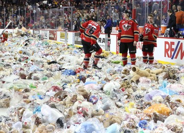 Calgary Hitmen skate around a pile of stuffed toys after scoring on the Swift Current Broncos during the annual Teddy Bear Toss at the Scotiabank Saddledome.