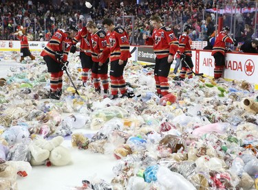Calgary Hitmen skate around a pile of stuffed toys after scoring on the Swift Current Broncos during the annual Teddy Bear Toss at the Scotiabank Saddledome.
