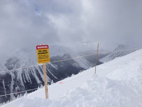 A file photo taken near Canyon Creek, west of Golden, in the backcountry adjacent to Kicking Horse ski resort in February 2015.