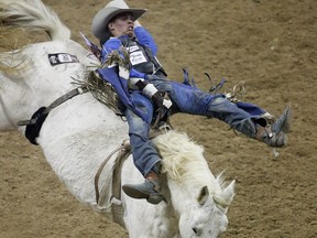 Bareback rider Orin Larsen competes, en route to hitting the money, during the first go-round of the National Finals Rodeo Thursday in Las Vegas.