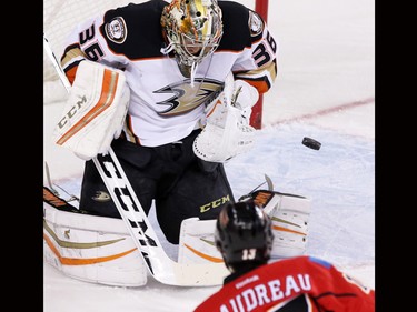 The Calgary Flames' Johnnie Gaudreay wasn't quite able to get this shot past Anaheim Ducks goaltender John Gibson during NHL action at the Scotiabank Saddledome on Tuesday November 29, 2015.