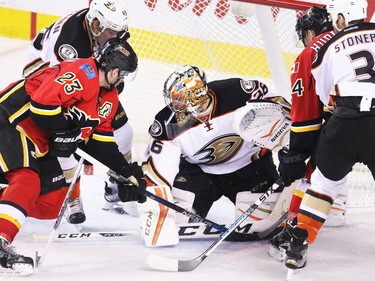 The Calgary Flames try to score on Anaheim Ducks goalie John Gibson during the final minutes of NHL action at the Scotiabank Saddledome on Tuesday November 29, 2015. The Ducks won the game 1- 0.