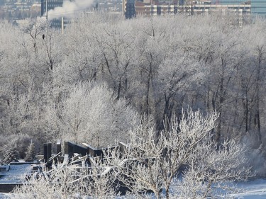 An eagle is visible in the left corner as frost coats trees along the shore of the Bow River in Inglewood on Boxing Day morning December 26, 2015.