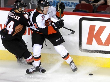 Hitmen Layne Bensmiller, 14, tries to dig the puck away from Tigers Brad Forrest, 2,  as the Calgary Hitmen hosted the Medicine Hat Tigers in Western Hockey League action at the Saddledome on Saturday, December 19, 2015.