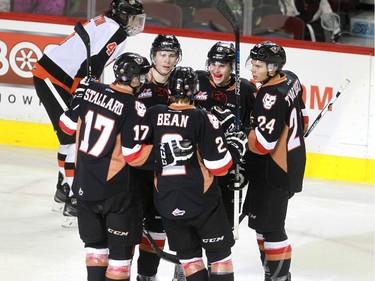 Jordy Stallard, 17, left; 9  Pavel Karnaukhov, 9; Jake Bean, 2, Jakob Stukel,10; and Carsen Twarynski, 24, celebrate a goal as the Calgary Hitmen hosted the Medicine Hat Tigers in Western Hockey League action at the Saddledome on Saturday, December 19, 2015.