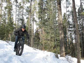 A cyclist on a fat bike at the Canmore Nordic Centre.