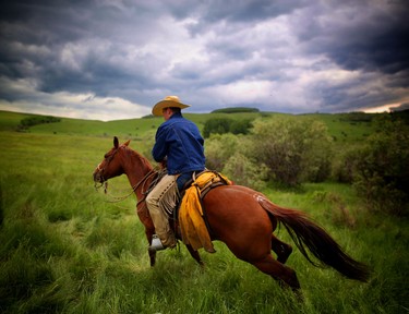 Storm clouds move in as Rem Holowath rides to the next group of calves during balancing at the Bar S Ranch.