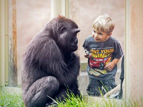 Children can experience the animals up close.