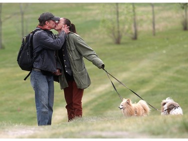 Homeless couple Lee Myshak and Lea Mayan with their dogs Shilo, a pomerian shitzu and Jake, a minature pom, in a NE park Friday June 12, 2015.