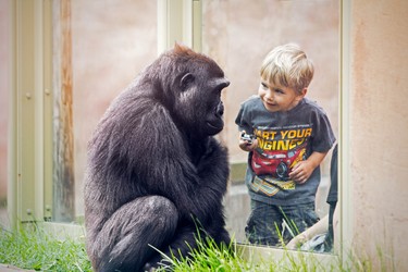 Children can experience the animals up close.